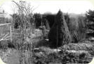 Garten 54